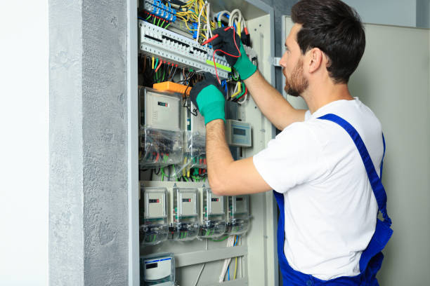 Best Ceiling Fan Installation Electrician  in Fruit Heights, UT